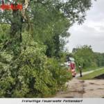 FF Pettendorf: Unwettereinsatz und Sturmschaden 2