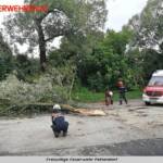 FF Pettendorf: Unwettereinsatz und Sturmschaden