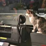 FF Krems / Sebastian Spanninger