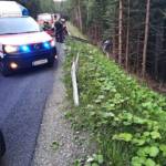 BFVDL: Verkehrsunfall auf der L619 4