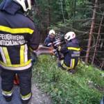 BFVDL: Verkehrsunfall auf der L619 6