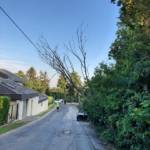 FF Eisenstadt: 4 Tage - 8 Einsätze 10 FF Eisenstadt