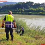 HFW Villach: Zwei Hunde aus Kanalrinne gerettet