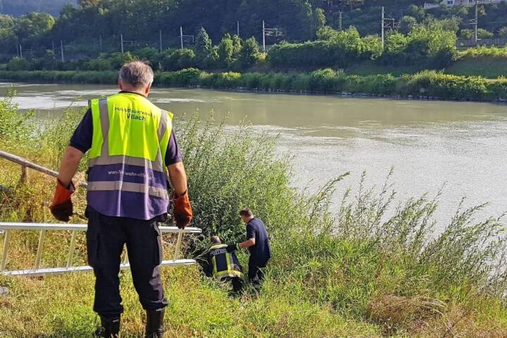 HFW Villach: Zwei Hunde aus Kanalrinne gerettet