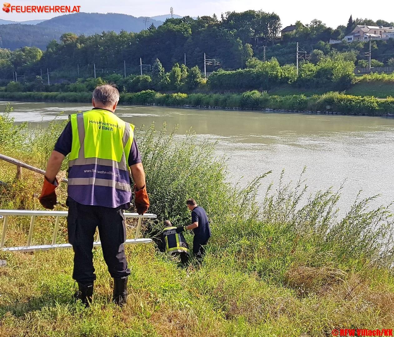 HFW Villach: Zwei Hunde aus Kanalrinne gerettet