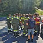 FF Hainersdorf: Vermisster Schwammerlsucher im Wald
