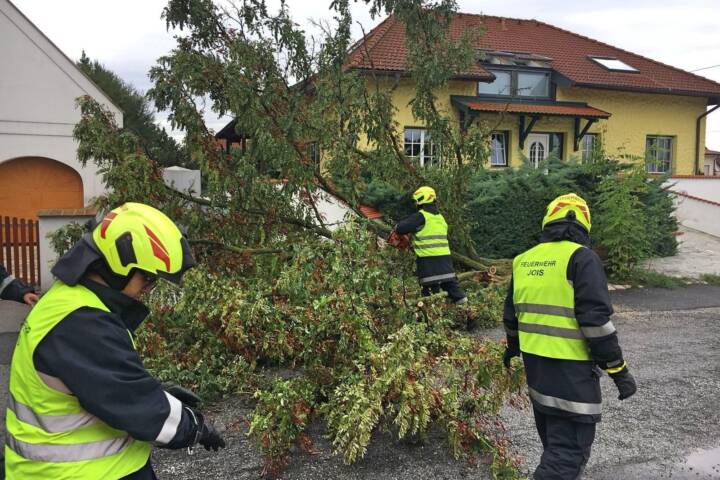 FF Jois: Morgendlicher Sturmschaden