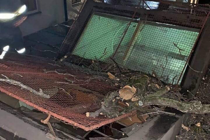 BF Wien: Sturmereignis-Zwischenbilanz