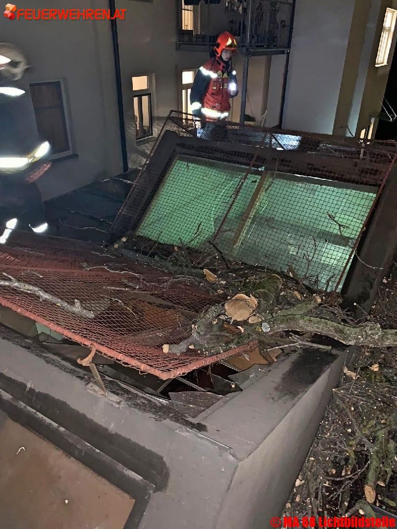 BF Wien: Sturmereignis-Zwischenbilanz