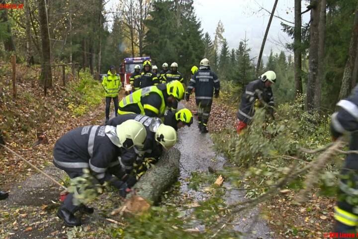 BFV Liezen: Unwettereinsätze – Stand 19:30 Uhr