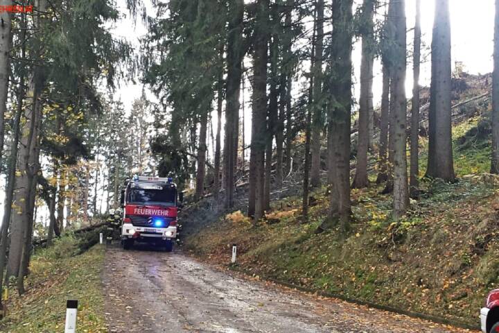 BFVDL: Sturmböen sorgen für zahlreiche Feuerwehreinsätze