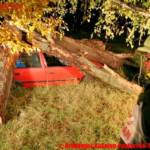 Brandauer, Hußnigg-Peukert ÖA-Team BFVGU A6