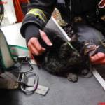 MA 68 Lichtbildstelle