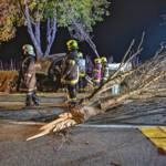 BFK-Krems / M.Wimmer