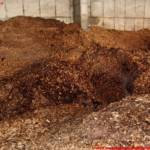 LM d. V. Thomas Haiderer, Abschnittspressebeauftragter Stv. A05