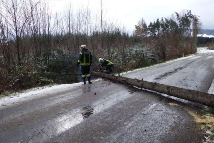 FF Weistrach: Orkan „Xaver“ – Sturmschaden – Baum über die Straße