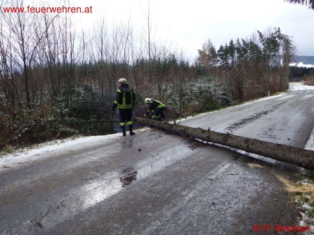 FF Weistrach: Orkan „Xaver“ – Sturmschaden – Baum über die Straße