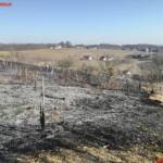 FF Mogersdorf-Ort: Großer Flurbrand