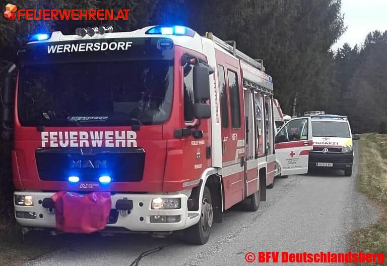 BFV Deutschlandsberg A2: Schwerer Forstunfall