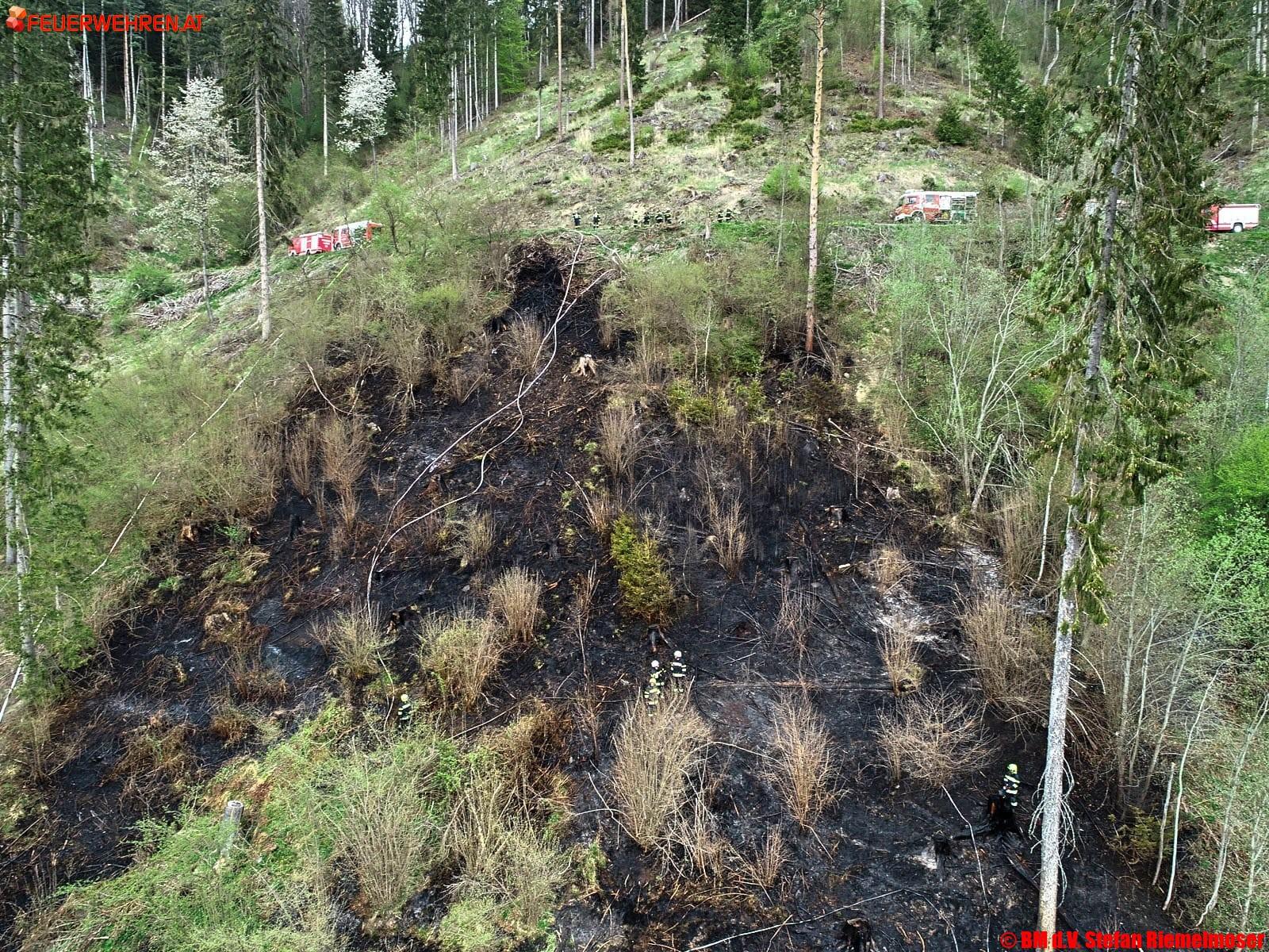 BFV Leoben: Waldbrand in der Obersteiermark