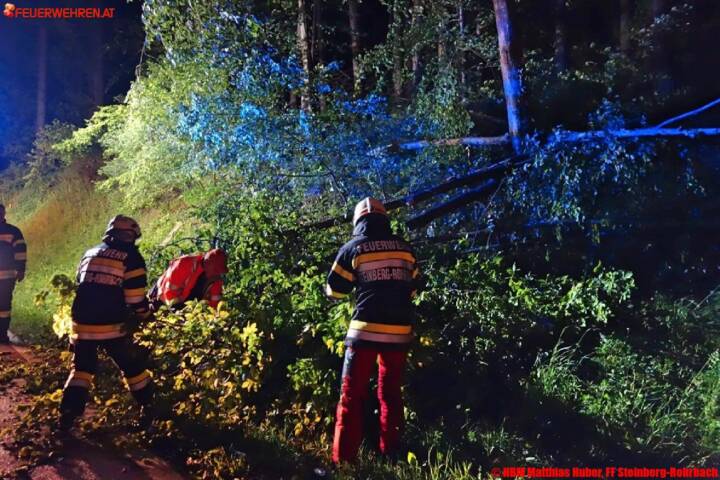 BFVGU: Sturmeinsätze der Feuerwehren des Abschnittes 6