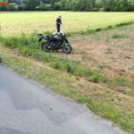 FF Wildbach