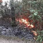 FF-Ternitz-Raglitz