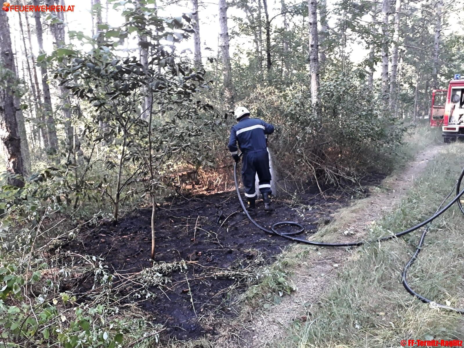 Waldbrand in Ternitz-Raglitz