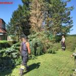 BFKDO Jennersdorf: Feuerwehren gefordert 20
