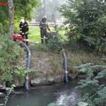 FF Andorf