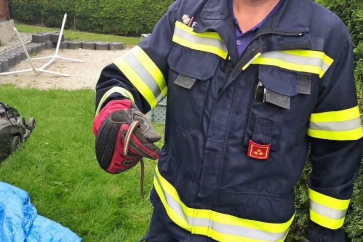FF Andorf: Schlange in Garten