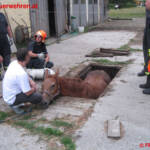 FF Braunau: Feuerwehr rettet Pferd aus Grube