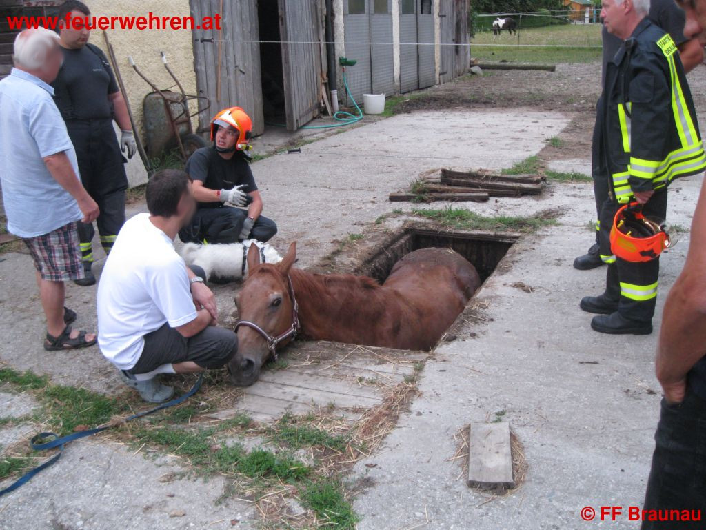 FF Braunau: Feuerwehr rettet Pferd aus Grube
