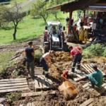 FF Steinberg-Rohrbach: Kuh in Misthaufen versunken 6