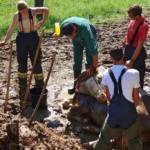 FF Steinberg-Rohrbach: Kuh in Misthaufen versunken 8