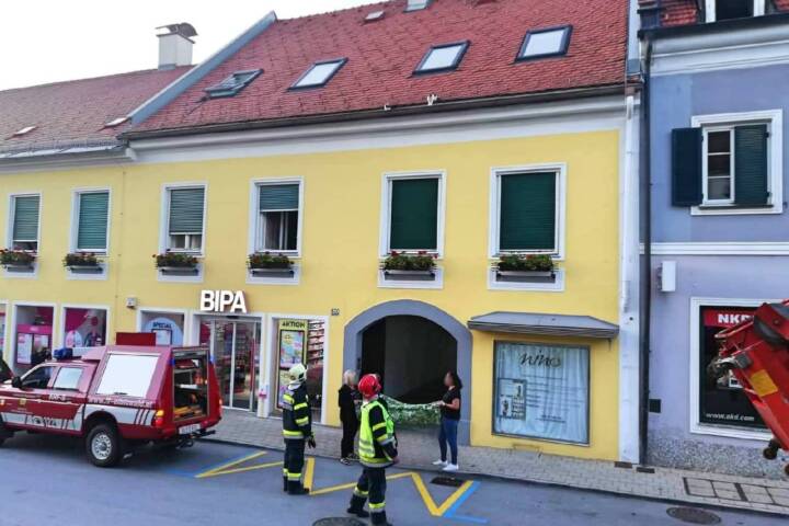 FF Hörmsdorf: Katzen von Hausdach gerettet
