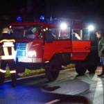 Baum über der B26 zwischen Stixenstein und Puchberg