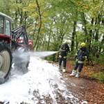 Übung: 70 Feuerwehrmänner löschten Waldbrand