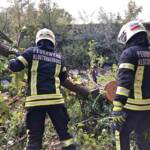 FF Klosterneuburg: Mehrere Einsätze für die Feuerwehr