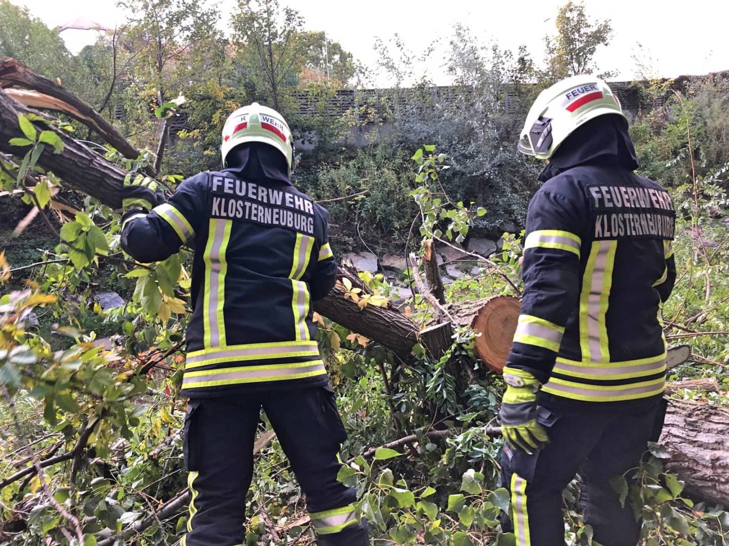 FF Klosterneuburg: Mehrere Einsätze für die Feuerwehr