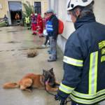 Landeskatastrophenschutzübung