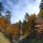 Tierrettung Tauplitzalm