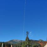 Tierrettung Tauplitzalm