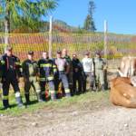 Tierrettung Tauplitzalm