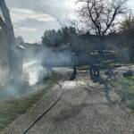 BFKDO Jennersdorf: Brand eines Baumes