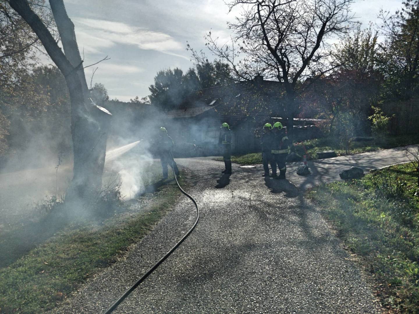 BFKDO Jennersdorf: Brand eines Baumes