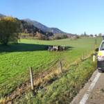 Schwerer Verkehrsunfall auf der B113