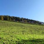 Tödlicher Verkehrsunfall in Öblarn