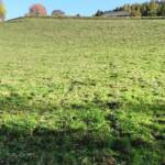 Tödlicher Verkehrsunfall in Öblarn