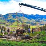 Stadtfeuerwehr Kitzbühel: Pferd in Jauchengrube gestürzt